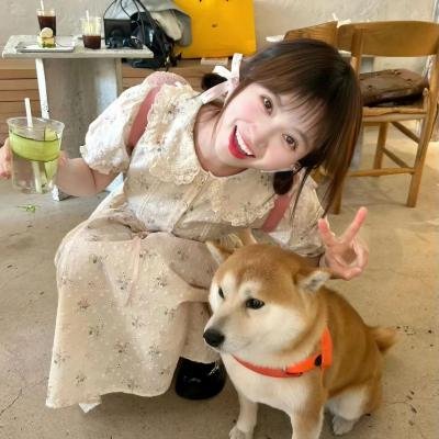 乘浪之约